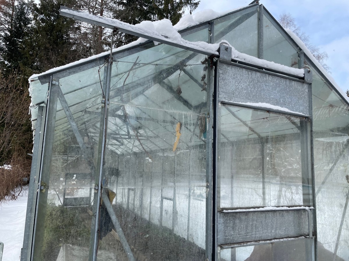 Welcome to Project: Sprout &&nbsp;About