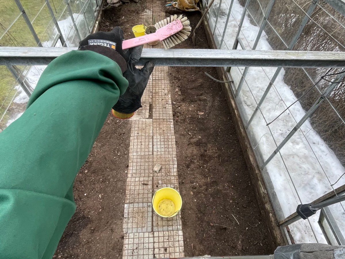 Not The Pretty&nbsp;Part