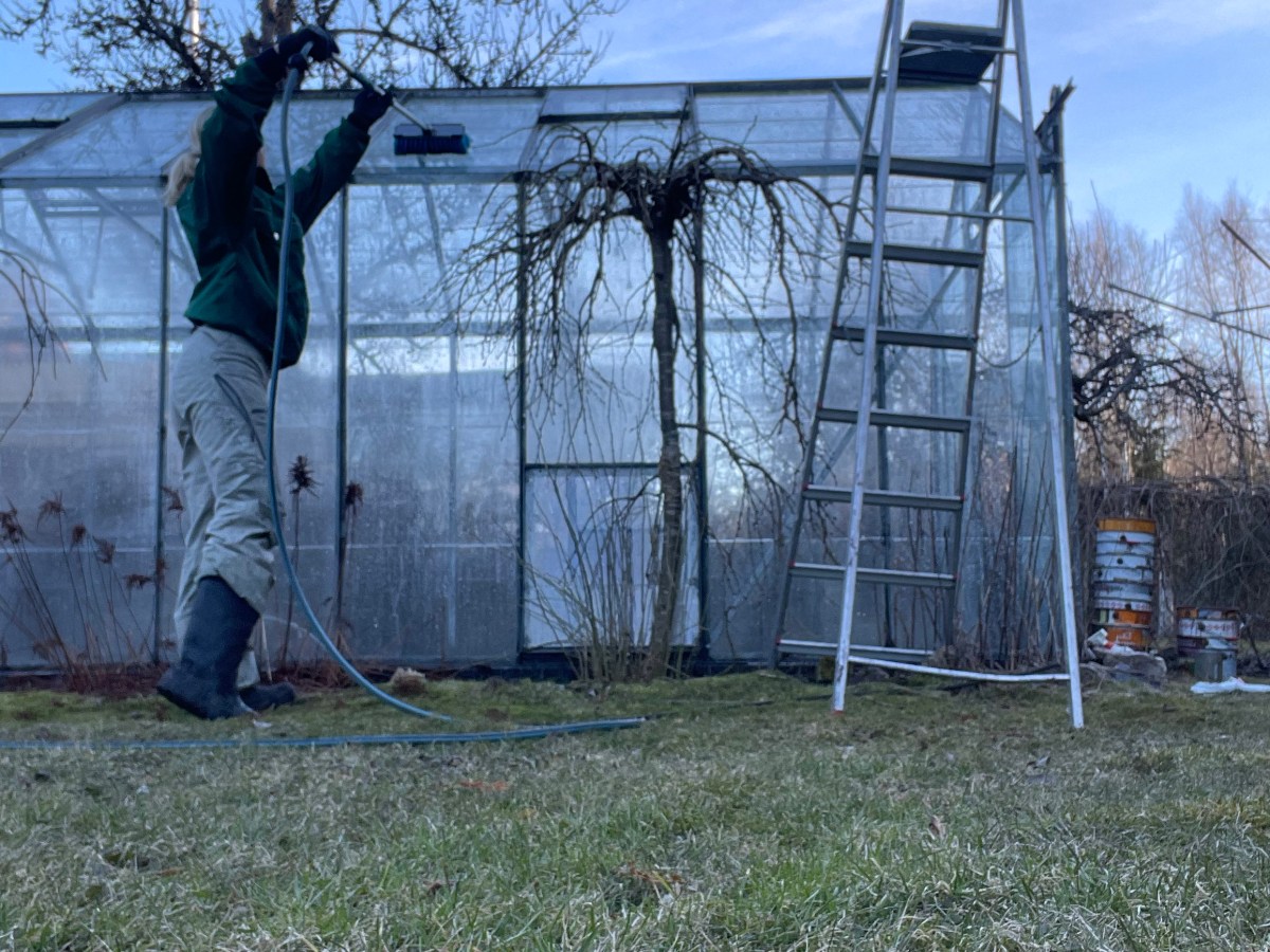 Brushing, Washing, Cleaning