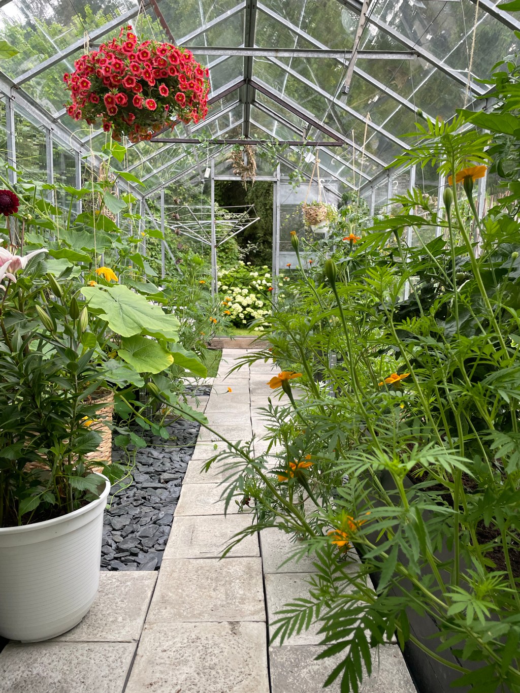 Mini Post (V): Baby Fruits And Flower Power!