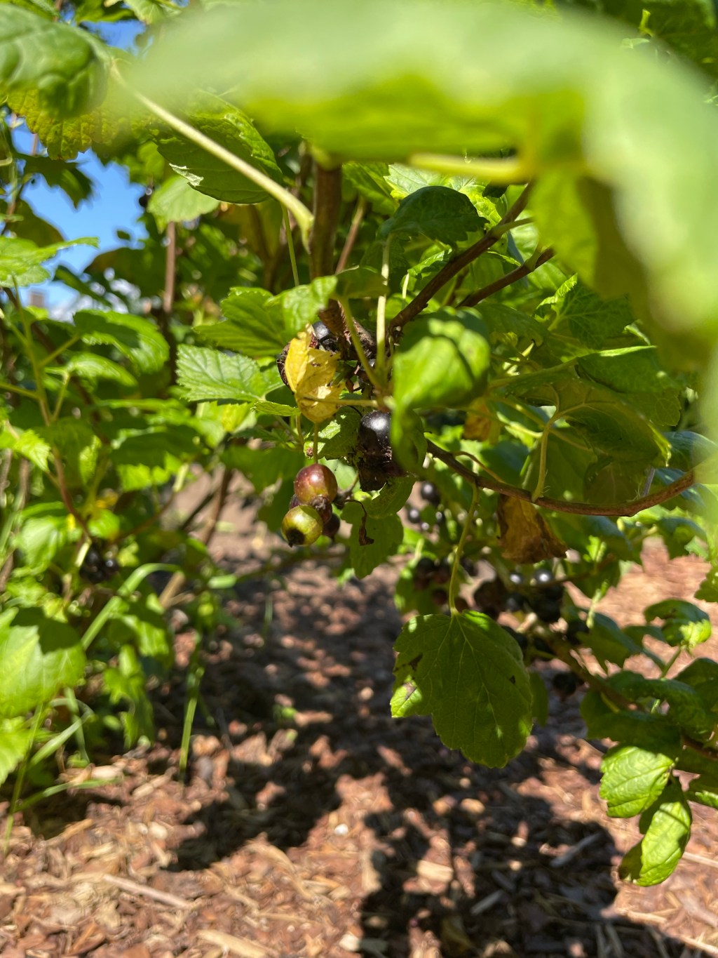 Mini Post: (VI) This Is How It’s Looking Outside