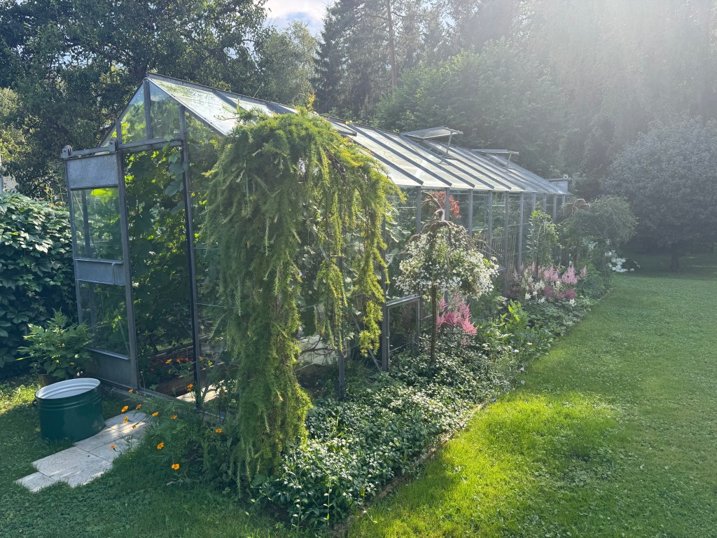 Come, Have A Walk In The Greenhouse With Me