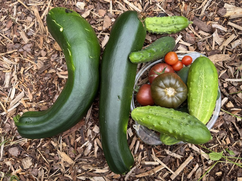 Heartful Harvests Part 1.