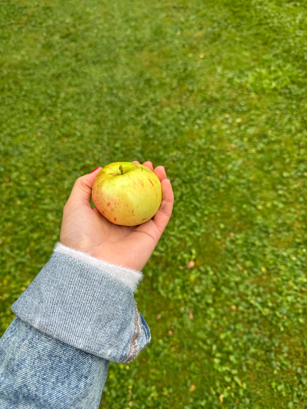 Reflections From August