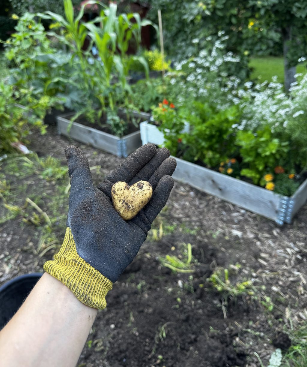 Tomatoes And Potatoes